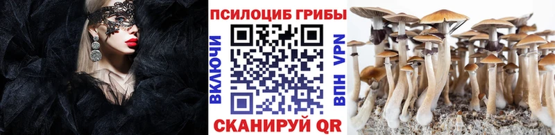 Галлюциногенные грибы ЛСД  сайты даркнета как зайти  Бор  закладка 